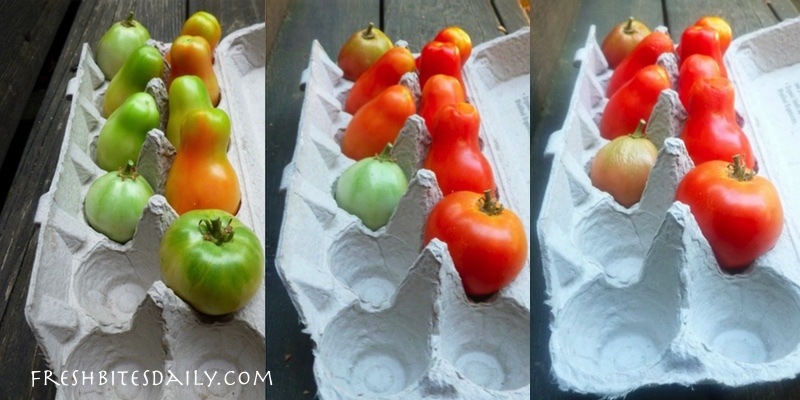 A Super Simple Strategy For Ripening Your Tomatoes Fresh Bites Daily