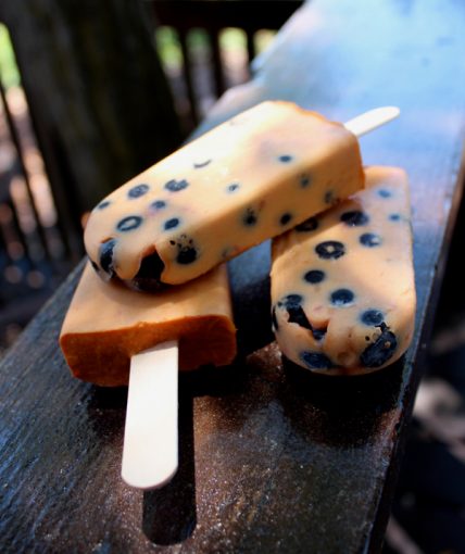 Apricot Blueberry Popsicles at FreshBitesDaily.com