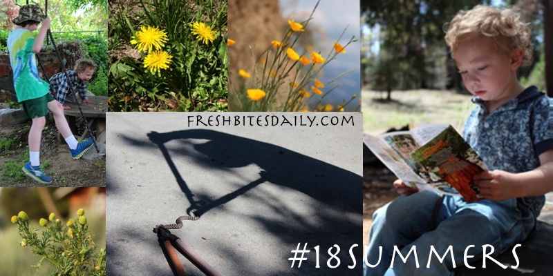 18summers-wide