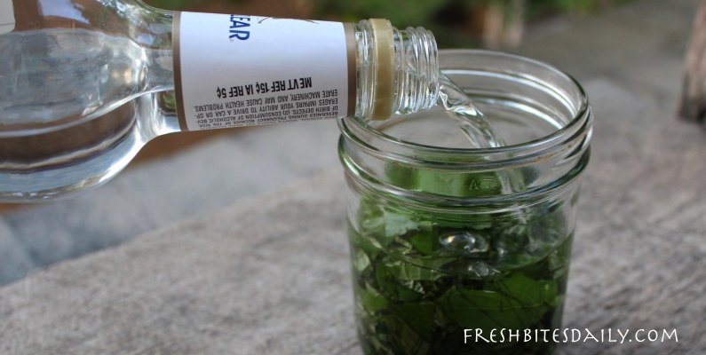 Your new migraine remedy: A simple and inexpensive herbal tincture at FreshBitesDaily.com