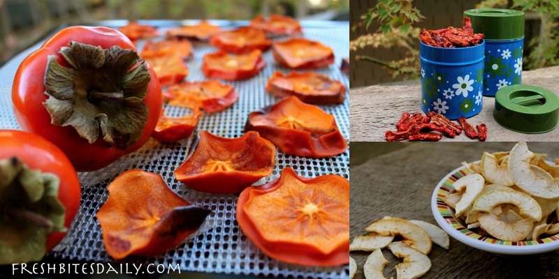 The best dehydrator? We're glad you asked.