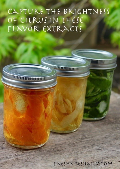 Capture the Brightness of Citrus in These Handy Citrus Extracts Fresh Bites Daily