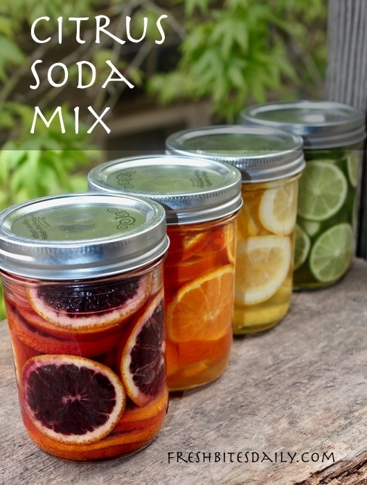 A refreshing and simple citrus soda mix, ready for your seltzer Fresh Bites Daily